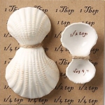 Shell Measuring Spoons